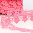 6)rosa thumbnail
