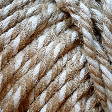 Tykk linsnor tofarget